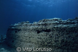 Torre Ovo (Puglia-Italy) - Petrified forest by Vito Lorusso 